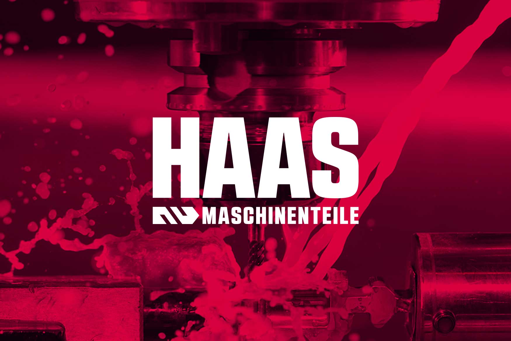 Logo-Design-HAAS-3-Designagentur-Stuttgart-Kreativbetrieb