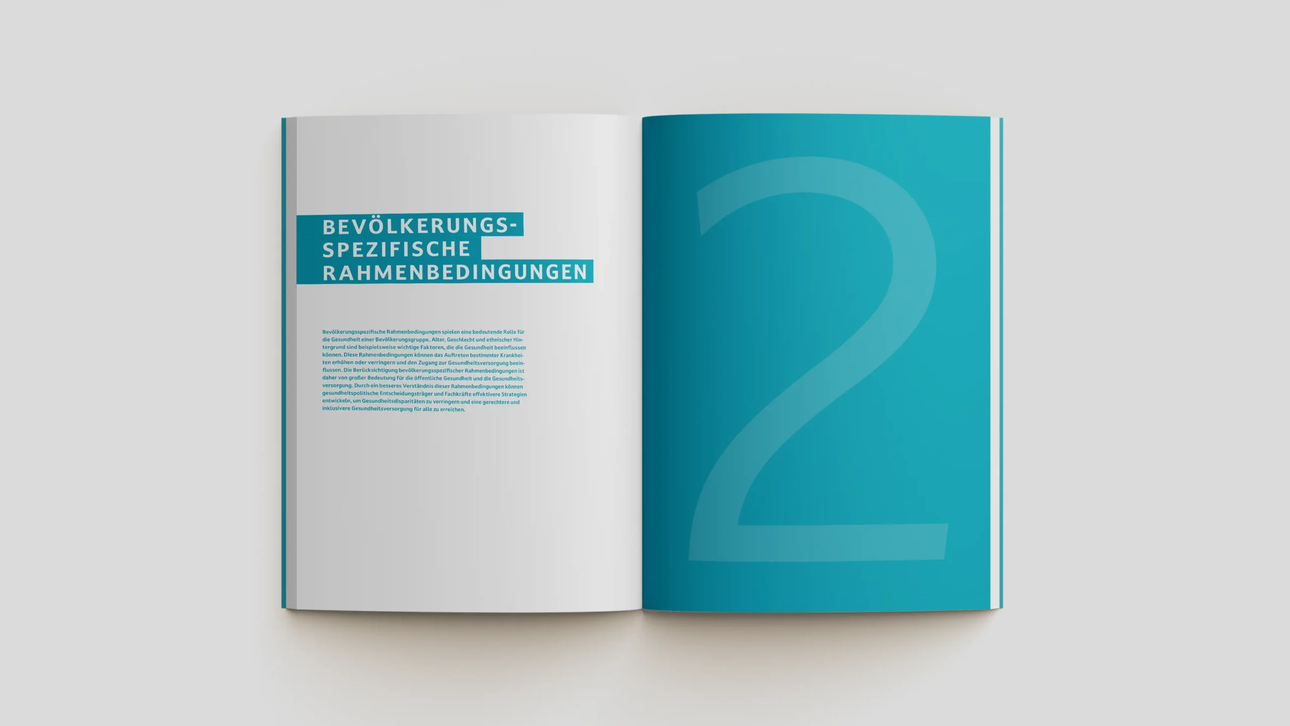 KB-Designagentur-Stuttgart-Berichte-Gesundheitsbericht-Landkreis-Ludwigsburg-2